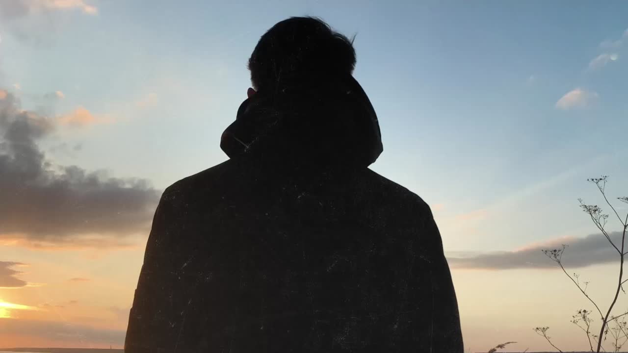 Kittens and a Forest