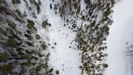 vista aérea de un camino de bosque nevado con motos de nieve