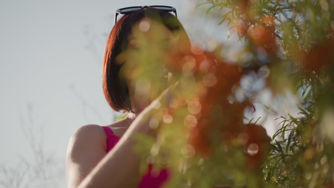 Mujer caucásica examinando racimos de bayas de espino cerval bajo la luz del sol, perspectiva cinematográfica a contrapicado con gafas de sol sobre la cabeza, escenas que alternan entre investigadora de campo y exploradora culinaria
