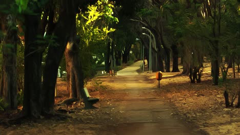 peaceful scenic of an empty city park at sunset