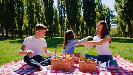 amigos disfrutando de un picnic en el parque