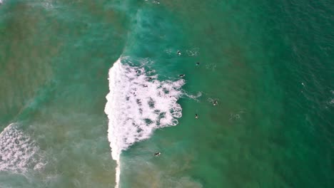 Sydney---Surfistas-De-La-Playa-De-Bondi