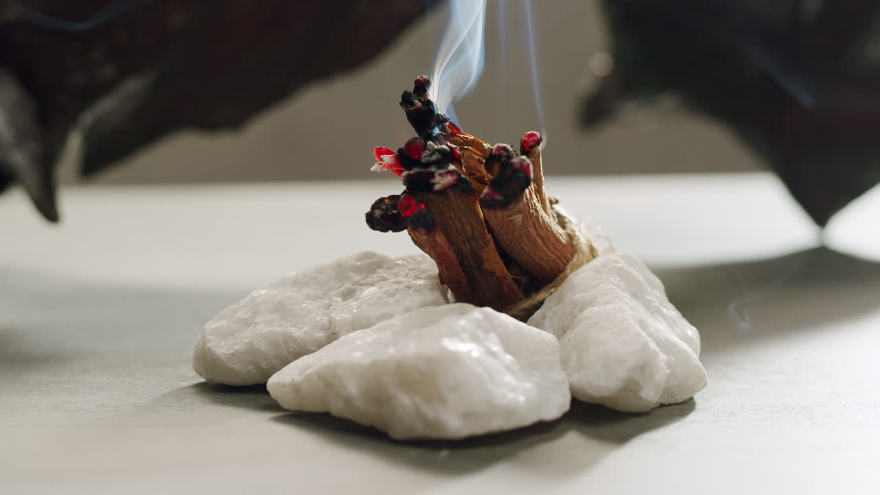 Person holding Palo Santo wood stick in hand, aromatic Palo Santo burning on black background, smoke spreading around, slow motion video clip, high quality 4k close up footage. High quality 4k footage