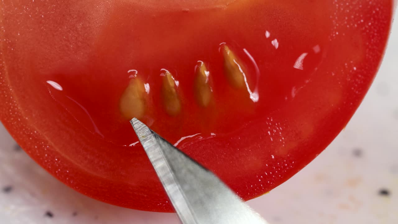 A scalpel points at cherry tomato seeds in a detailed, close-up examination. Bright lighting highlights the seeds and tomato flesh