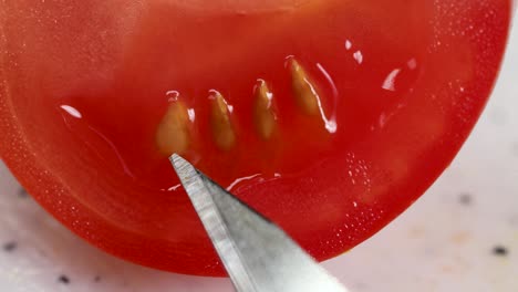 a scalpel points at cherry tomato seeds in a detailed, close-up examination. bright lighting highlights the seeds and tomato flesh