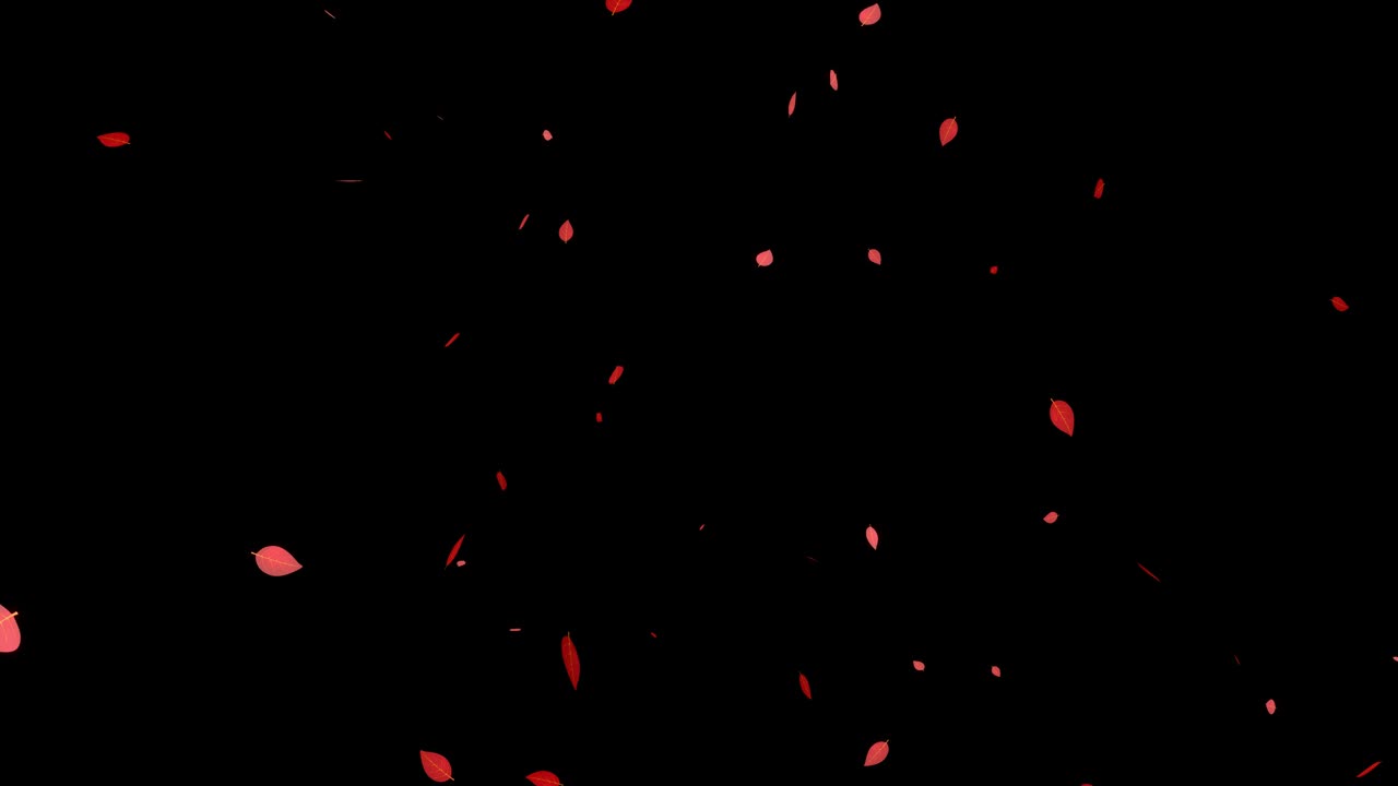 죽은 잎, 빨간 잎, 가을 잎, 어나오는 입자, 모션 그래픽