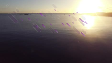 Animation-of-purple-light-flares-moving-over-sea-at-sunset