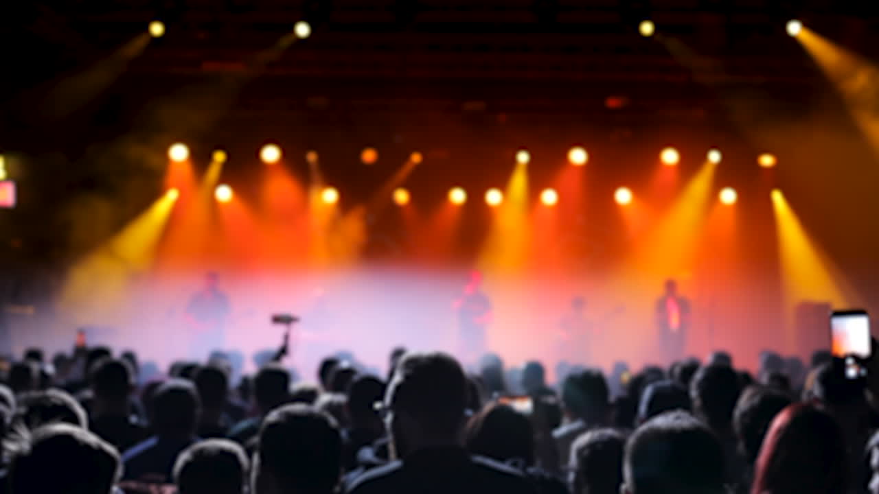 Concerto di musica dal vivo