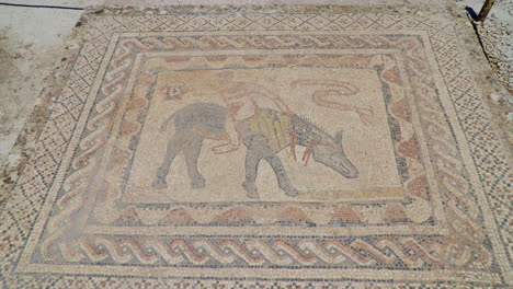 Immerse-yourself-in-the-intricate-beauty-of-ancient-tile-art-with-a-captivating-zoom-in-on-the-exquisite-ruins-of-Volubilis-in-Meknes,-Morocco