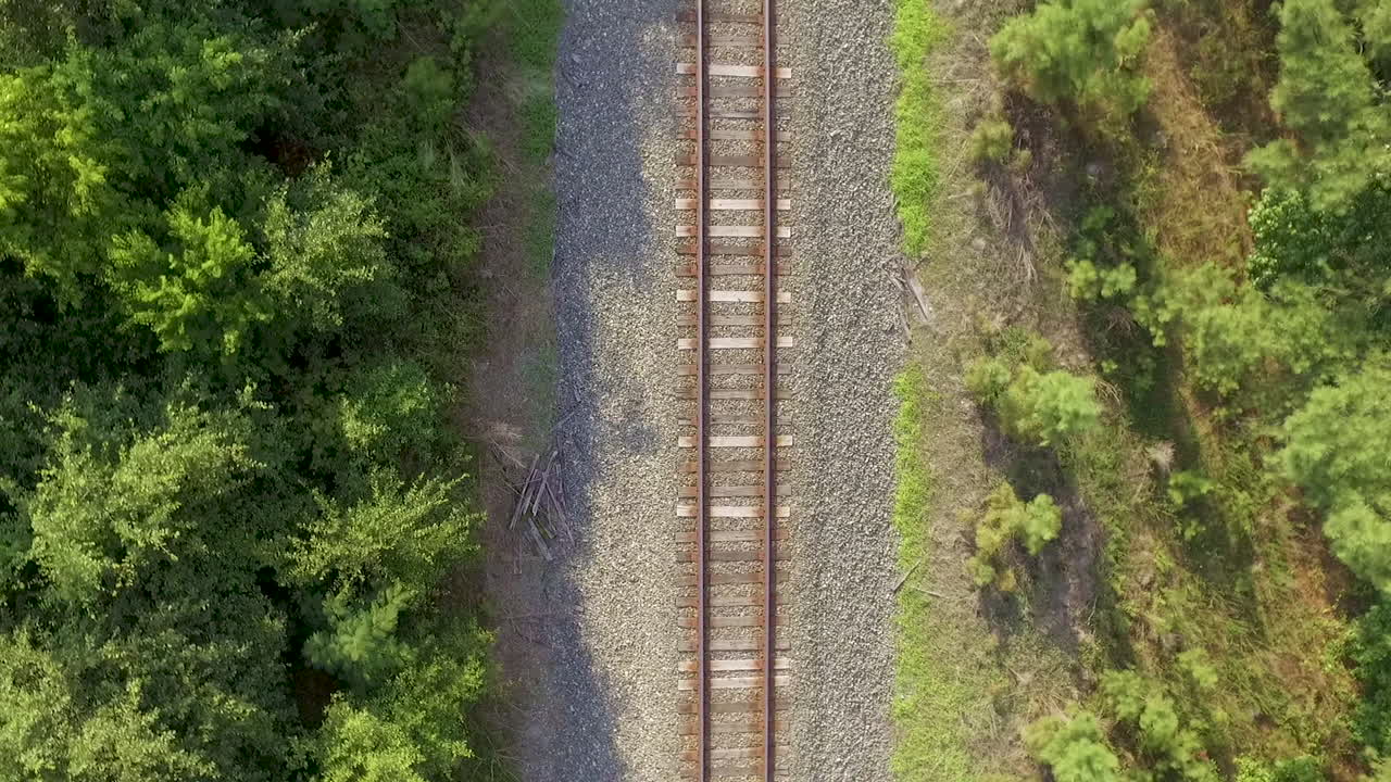 Aerial View of Railroad Tracks Through Trees