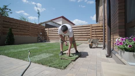 man laying sod grass in backyard garden for lawn installation and landscaping project, focused on home improvement and outdoor maintenance for a fresh, green lawn in a residential yard