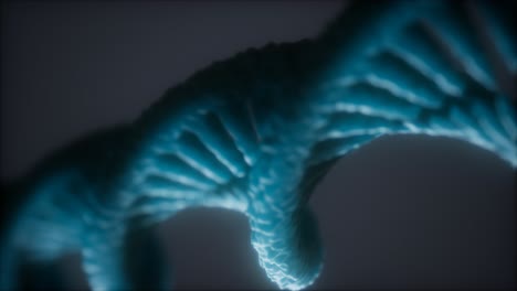 Schleifenstruktur-Der-DNA-Doppelhelix-Animation