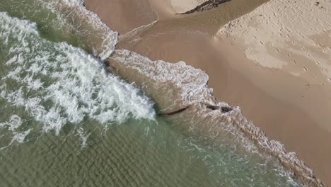 aerial drone static shot of clear ocean waves crashing slowly on a white sand beach with driftwood