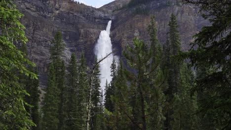 waterfall in slow motion with pine cedar trees in the foreground in a black coloured rocky mountain countryside landscape