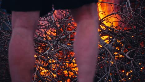 branches and twigs burning - close up shot