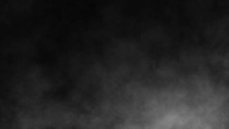 gray and white smoke billowing against black background - monochrome slow motion fog effects