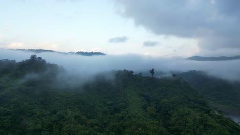 Nubes-Bajas-Brumosas-Sobre-Frondosos-árboles-Forestales-En-Catanduanes,-Filipinas