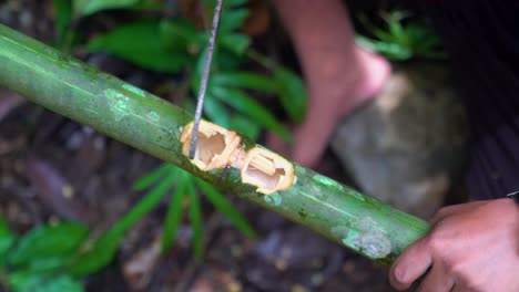 fotografía de mano de un miembro de la tribu khasi cortando un ficus elástica con un cuchillo