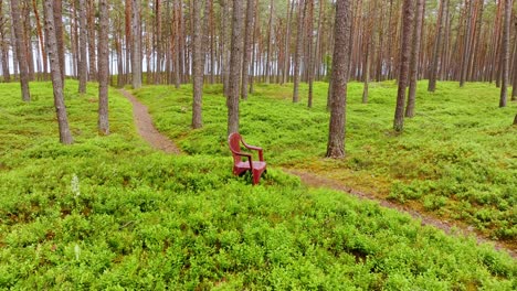 symbolic shot of empty seat along forest trail in dune area of latvia’s coast