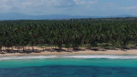 Scenic-tropical-palm-fringed-beach-in-Caribbean-with-epic-azure-water