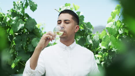 un apuesto joven disfrutando de un vaso de vino