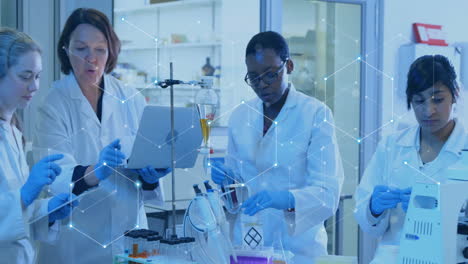 animación de la red de conexiones entre diversos científicos que trabajan en el laboratorio