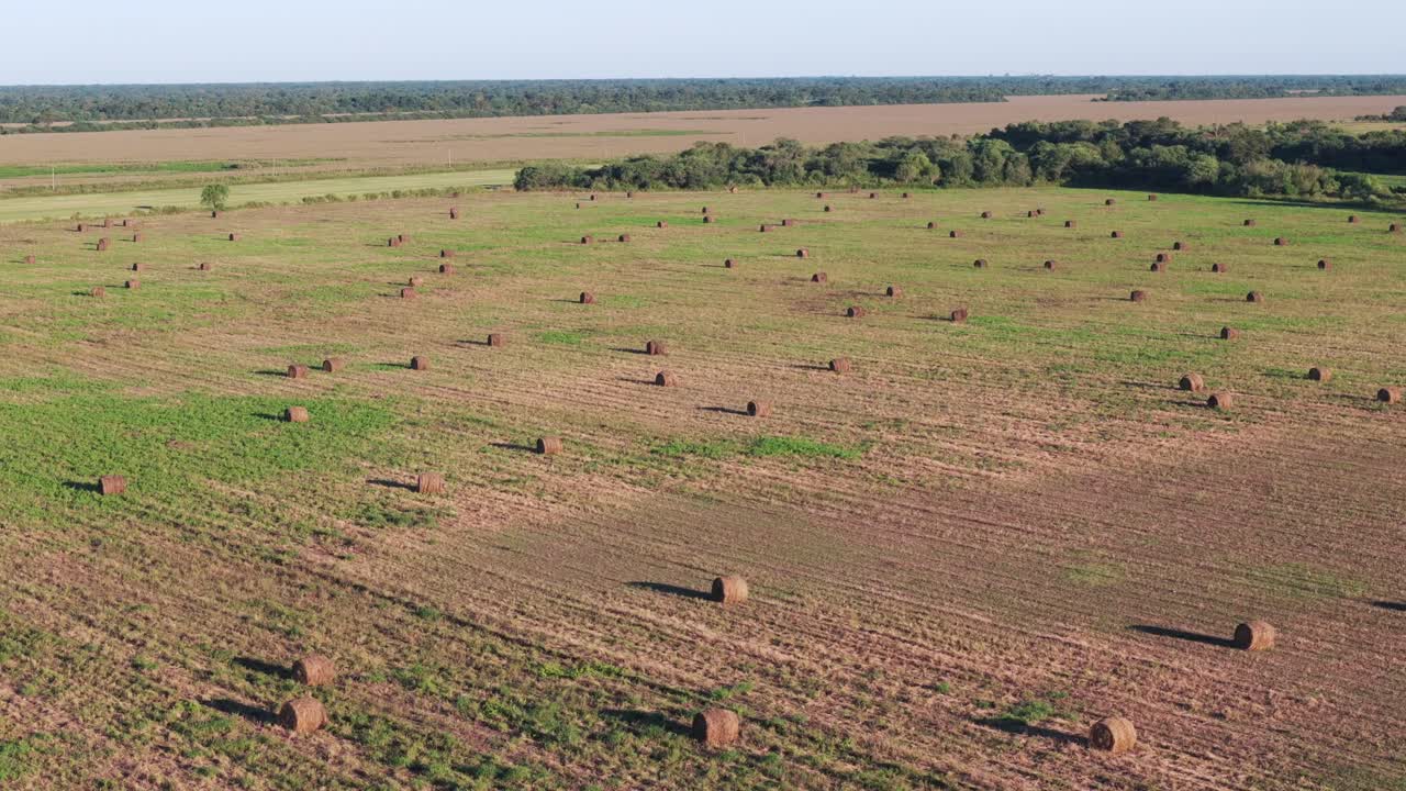 vista aérea avanzando sobre un campo con miles de balas redondas de heno