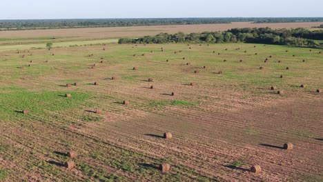 vista aérea avanzando sobre un campo con miles de balas redondas de heno