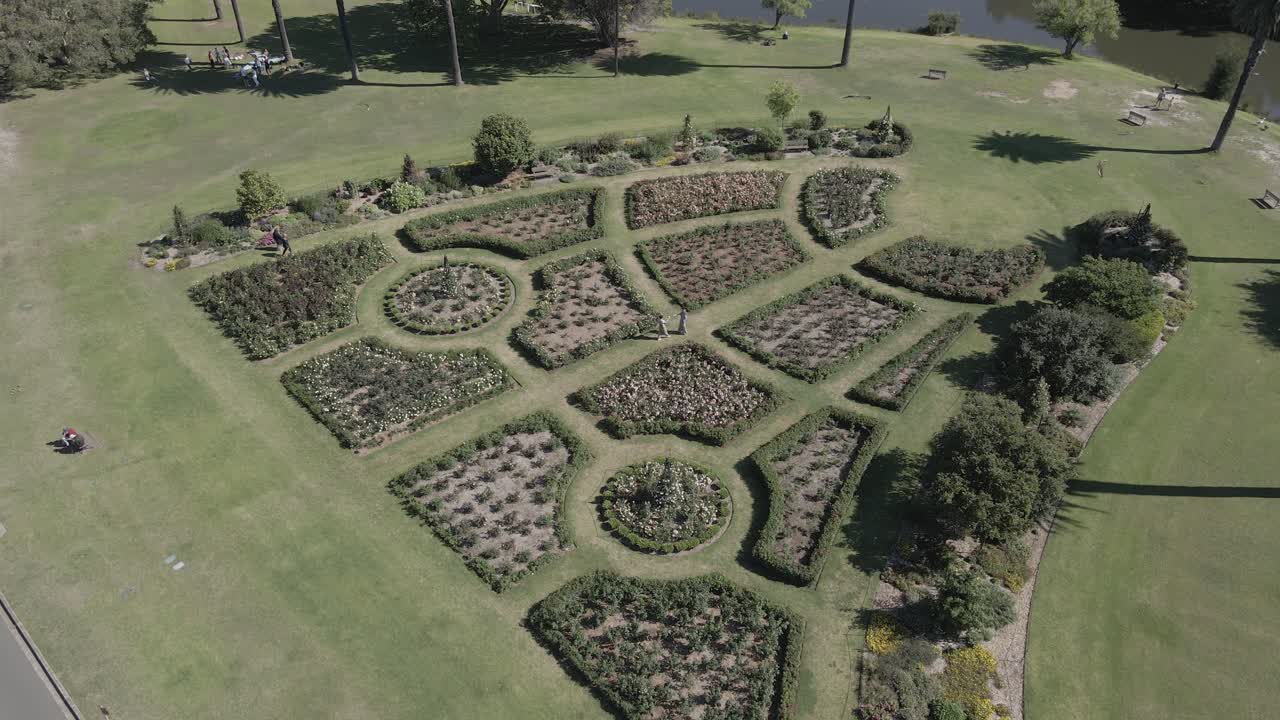reunión de pareja en el jardín de rosas rodeado de macizos de flores - parque centenario, australia - drone aéreo