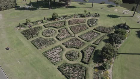 Paar-Treffen-Sich-Im-Rosengarten,-Umgeben-Von-Blumenbeeten---Centennial-Park,-Australien---Luftdrohne