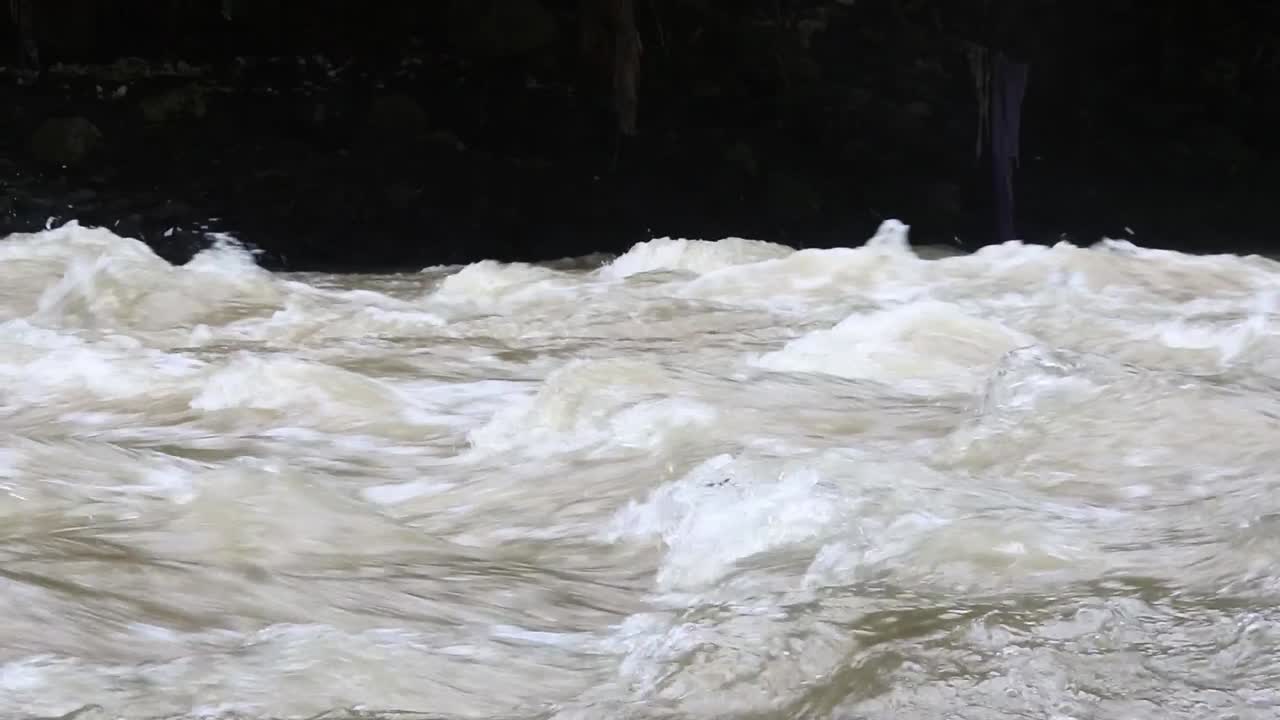 The river in the forest_HD video