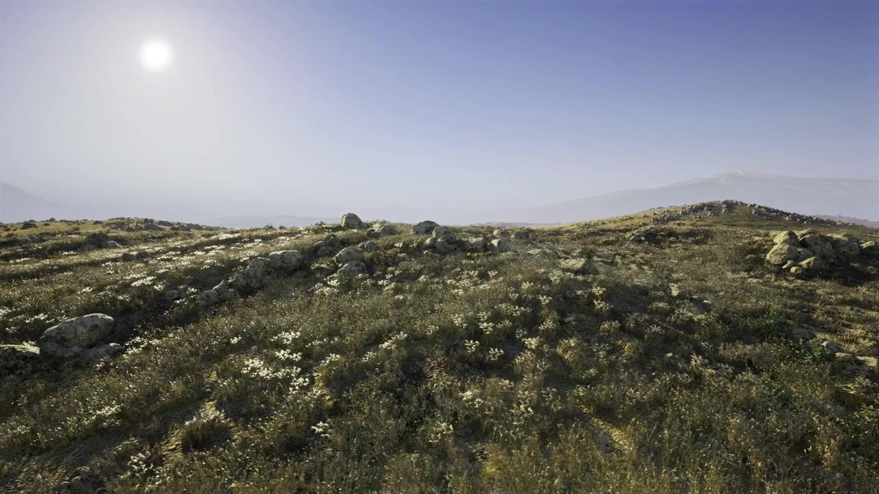 Campo luminoso di mezzogiorno con dolci curve e fioriture sparse sotto cieli soleggiati