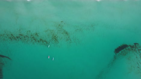 Vista-De-Drones-De-Mujeres-Remando-En-El-Claro-Golfo-Esmeralda-De-México-En-Un-Día-Soleado