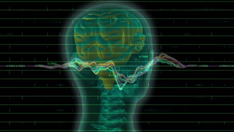 animation of graphs and numbers over rotating head model on black background