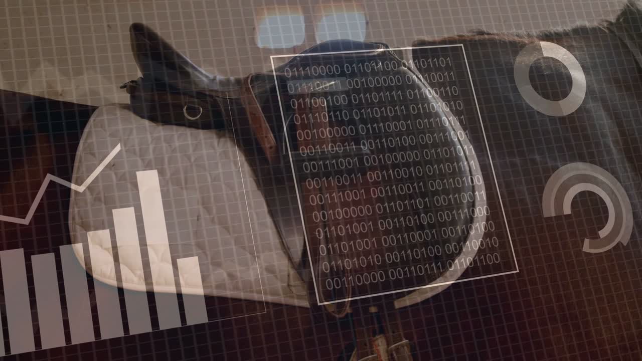Vertical video: Saddle receiving sensor input, HUD charts growing into tech dashboard for analytics