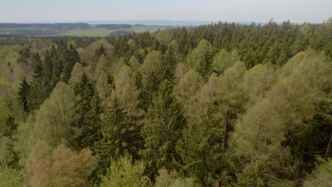 un dron aéreo disparó sobre un bosque de árboles verdes en hřebeč, cerca de la ciudad de moravská třebová y la ciudad de koclířov en la república checa durante el día