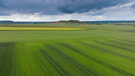 cloudy weather in an agricultural landscape
