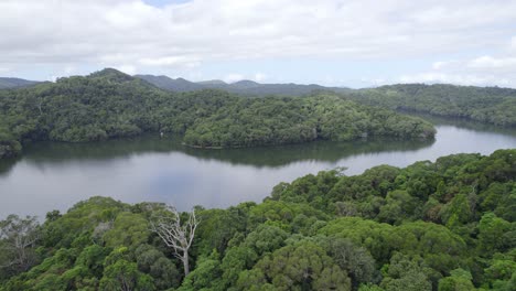 Tropical-Vegetation-Reflecting-On-Tranquil-Waters-Of-Lake-Morris-In-Cairns,-North-Queensland,-Australia---aerial-drone-shot