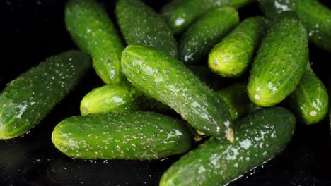 heap of fresh small cucumbers.