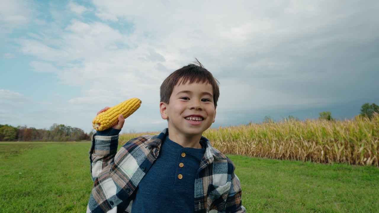 Boy in a cornfield