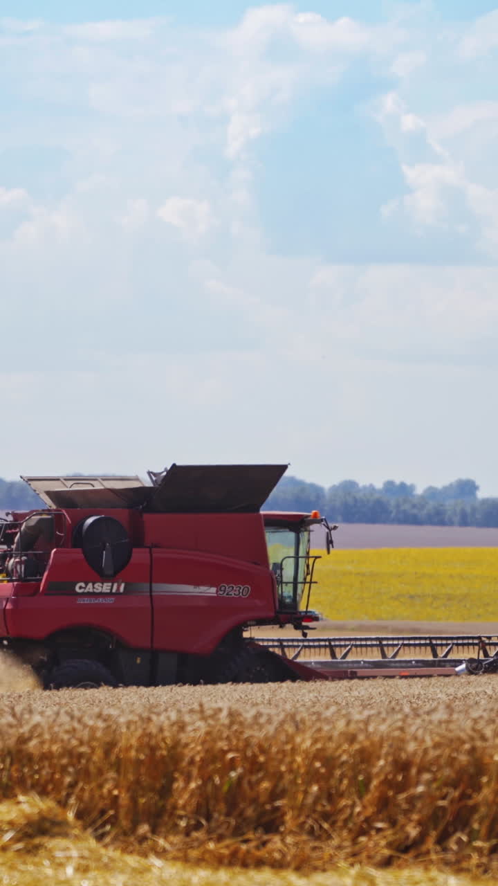 밀 에서 일 하는 수확기