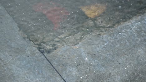 raindrops falling on city pavement. wet street with water reflections and splashes. ideal for weather, mood, cinematic b-roll