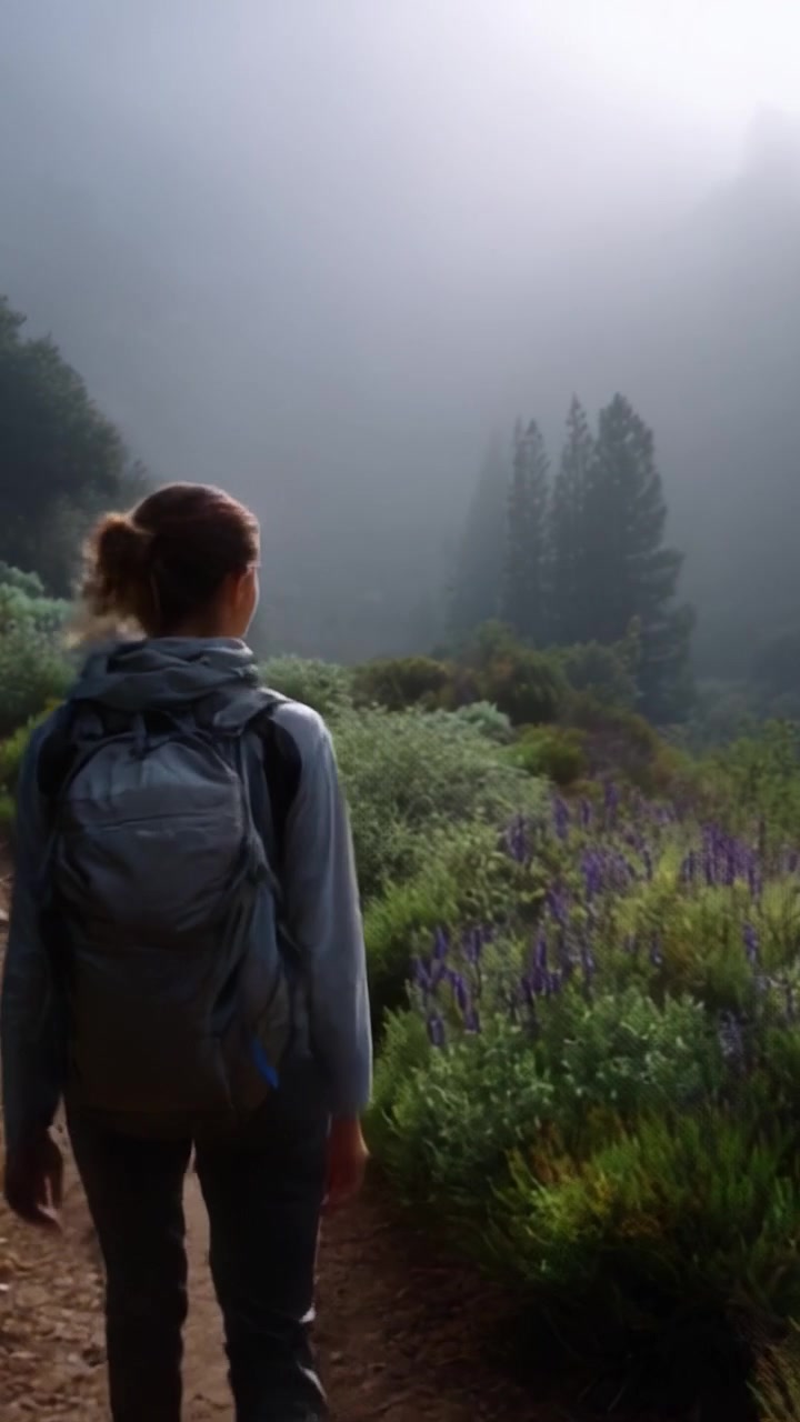 A solitary traveler immerses in a serene misty landscape, surrounded by lush greenery and vibrant flowers while exploring a tranquil forest pathway.