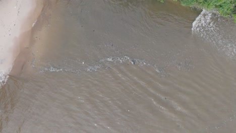 Drone-De-Baja-Altitud-Ascendente-De-Arriba-Hacia-Abajo-De-Un-Océano-Contaminado-Lleno-De-Basura-Flotante-Y-Escorrentía-Fangosa-Del-Río-Mezclándose-Con-Agua-Tropical-Turquesa-De-Bali-Indonesia