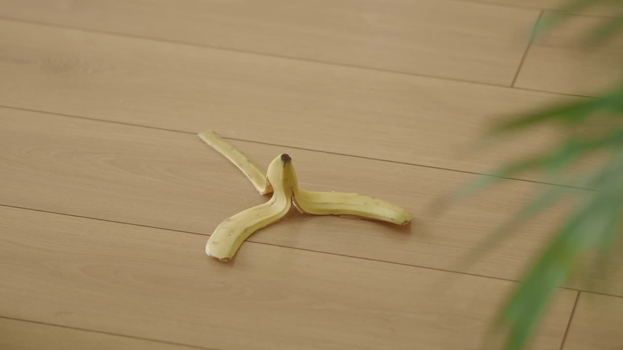 바닥에 바나나 질