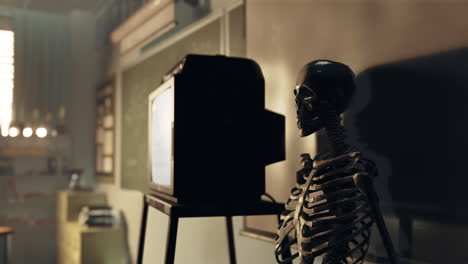 skeleton watching tv in a classroom