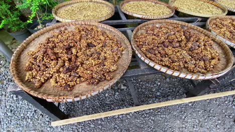 Close-up-shot-of-Luwak-Coffee-drying-on-the-bamboo-crock