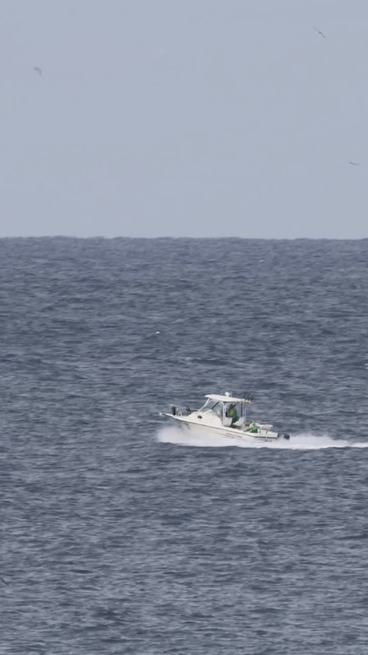 평온 한 바다 물 위 를 항해 하는 스피드 보트