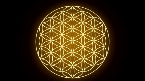 the flower of life forming sacred geometry symbol