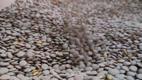 Nahaufnahme-Getrockneter-Linsen,-Die-In-Einen-Schüttgutbehälter-Fließen